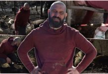 NIKOLA PODELIO PRIJATELJIMA 2.000.000 EVRA I OTIŠAO U ŠUMU! Svet u potpunoj neverici, a tek obrazloženje