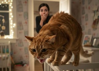 Mačka je stalno siktala na bebu i majka je htela da je se reši: Onda je primetila da mačka sikće samo kada beba prestane da diše. Mačka je stalno siktala na bebu i majka je htela da je se reši: Onda je primetila da mačka sikće samo kada beba prestane da diše. - featured image