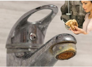 Trik za ČIŠĆENJE KAMENCA se širi kao zaraza: Poznata influenserka otkrila caku – ne treba vam NI VODA, samo 1 stvar koju SVI imamo