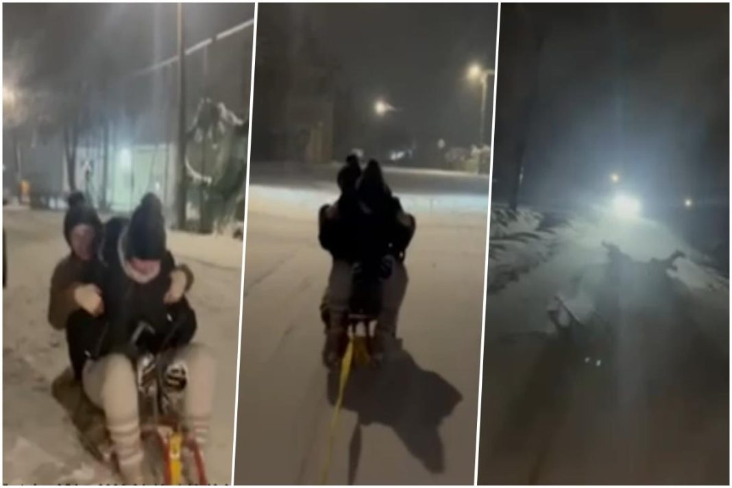 UZNEMIRUJUĆI SNIMAK JEZIVOG SANKANJA KOD KRALJEVA! Devojčice vrište 