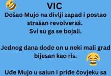 VIC DANA. Došao Mujo na divlji zapad VIC DANA. Došao Mujo na divlji zapad - featured image