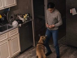 Žena se žalila da njihov pas stalno bez razloga napada nju: muž joj nije povjerovao i odlučio je postaviti kameru kako bi promatrao ženu i psa, ali ono što je vidio na ekranu šokiralo ga je 😨😱 Žena se žalila da njihov pas stalno bez razloga napada nju: muž joj nije povjerovao i odlučio je postaviti kameru kako bi promatrao ženu i psa, ali ono što je vidio na ekranu šokiralo ga je 😨😱 - featured image