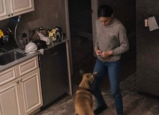 Žena se žalila da njihov pas stalno bez razloga napada nju: muž joj nije povjerovao i odlučio je postaviti kameru kako bi promatrao ženu i psa, ali ono što je vidio na ekranu šokiralo ga je 😨😱 Žena se žalila da njihov pas stalno bez razloga napada nju: muž joj nije povjerovao i odlučio je postaviti kameru kako bi promatrao ženu i psa, ali ono što je vidio na ekranu šokiralo ga je 😨😱 - featured image