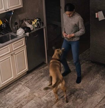 Žena se žalila da njihov pas stalno bez razloga napada nju: muž joj nije povjerovao i odlučio je postaviti kameru kako bi promatrao ženu i psa, ali ono što je vidio na ekranu šokiralo ga je 😨😱 Žena se žalila da njihov pas stalno bez razloga napada nju: muž joj nije povjerovao i odlučio je postaviti kameru kako bi promatrao ženu i psa, ali ono što je vidio na ekranu šokiralo ga je 😨😱 - featured image