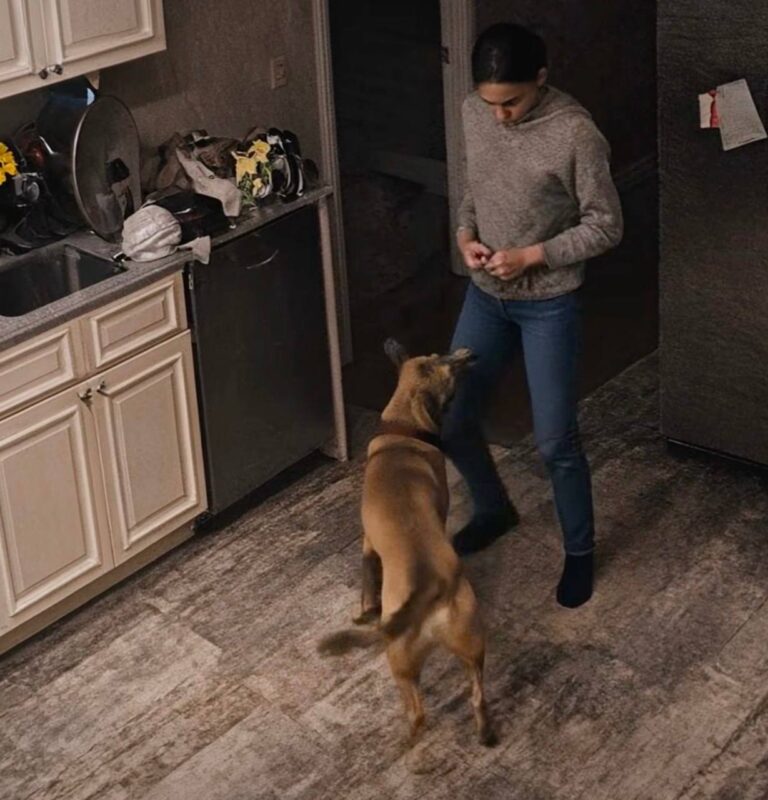 Žena se žalila da njihov pas stalno bez razloga napada nju: muž joj nije povjerovao i odlučio je postaviti kameru kako bi promatrao ženu i psa, ali ono što je vidio na ekranu šokiralo ga je 😨😱 - featured image