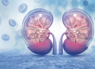 KADA SA BUBREZIMA NEŠTO NIJE U REDU, TELO ŠALJE OVE SIGNALE: 6 simptoma koje ne smete ignorisati! KADA SA BUBREZIMA NEŠTO NIJE U REDU, TELO ŠALJE OVE SIGNALE: 6 simptoma koje ne smete ignorisati! - featured image