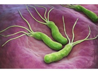 POVRĆKA KOJA UBIJA HELIKO BAKTERIJU, KISELINU I KARCINOM STOMAKA: Dovoljno je 70 grama dnevno! POVRĆKA KOJA UBIJA HELIKO BAKTERIJU, KISELINU I KARCINOM STOMAKA: Dovoljno je 70 grama dnevno! - featured image