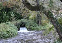 Prirodno čudo Srbije: Tu se zaklinju i mole da im se ispune želje Prirodno čudo Srbije: Tu se zaklinju i mole da im se ispune želje - featured image