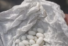 Pronašla sam čudne bijele kuglice u ruksaku svog 15-godišnjeg sina: on kaže da su to samo bomboni, ali mu ne vjerujem 😕 Pronašla sam čudne bijele kuglice u ruksaku svog 15-godišnjeg sina: on kaže da su to samo bomboni, ali mu ne vjerujem 😕 - featured image