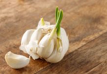 Šta kada beli luk proklija – da li može da se jede ili ga treba pod hitno baciti? Šta kada beli luk proklija – da li može da se jede ili ga treba pod hitno baciti? - featured image