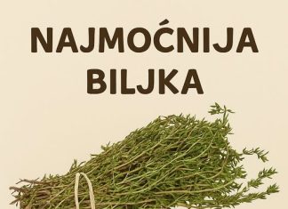 RECEPT ZA PRIRODNO LJEKOVITO ULJE: Prirodni saveznik protiv infekcija RECEPT ZA PRIRODNO LJEKOVITO ULJE: Prirodni saveznik protiv infekcija - featured image