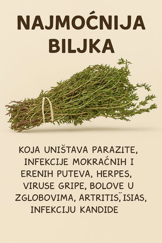 RECEPT ZA PRIRODNO LJEKOVITO ULJE: Prirodni saveznik protiv infekcija - featured image