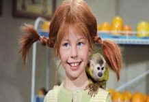 VRAGOLASTU DJEVOJČICU SVI SMO VOLJELI GLEDALI: Sjećate li se Pipi Duga Čarapa? Ona danas izgleda ovako! VRAGOLASTU DJEVOJČICU SVI SMO VOLJELI GLEDALI: Sjećate li se Pipi Duga Čarapa? Ona danas izgleda ovako! - featured image