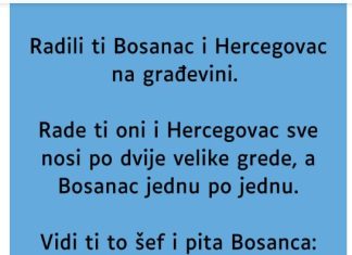VIC: Bosanac i Hercegovac VIC: Bosanac i Hercegovac - featured image