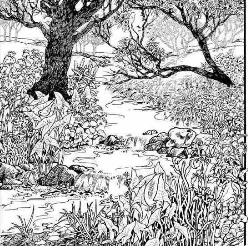 Mnogi su probali, ali RIJETKO KO USPIJE: Svako ko pronađe ženu na fotografiji ima natprosečnu inteligenciju! - featured image