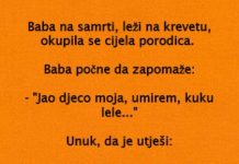 VIC DANA: Baba na samrti VIC DANA: Baba na samrti - featured image