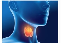 Sve dolazi od vaše štitne žlijezde – hormona, suviše mršavosti ili gojaznosti: evo kako da to izliječite sami Sve dolazi od vaše štitne žlijezde – hormona, suviše mršavosti ili gojaznosti: evo kako da to izliječite sami - featured image