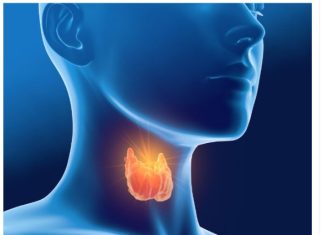 Sve dolazi od vaše štitne žlijezde – hormona, suviše mršavosti ili gojaznosti: evo kako da to izliječite sami Sve dolazi od vaše štitne žlijezde – hormona, suviše mršavosti ili gojaznosti: evo kako da to izliječite sami - featured image