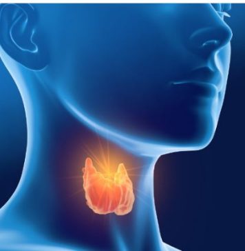 Sve dolazi od vaše štitne žlijezde – hormona, suviše mršavosti ili gojaznosti: evo kako da to izliječite sami Sve dolazi od vaše štitne žlijezde – hormona, suviše mršavosti ili gojaznosti: evo kako da to izliječite sami - featured image