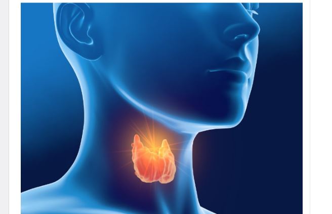 Sve dolazi od vaše štitne žlijezde – hormona, suviše mršavosti ili gojaznosti: evo kako da to izliječite sami - featured image