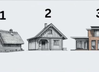 TEST! U KOJOJ KUĆI BISTE ŽIVJELI? Evo šta to govori o vama, OPREZ-SVIMA JE POGODILO! TEST! U KOJOJ KUĆI BISTE ŽIVJELI? Evo šta to govori o vama, OPREZ-SVIMA JE POGODILO! - featured image