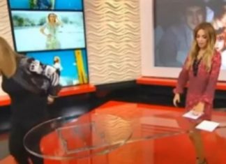 “SVE BIH VAS ZAPALILA, ZA KOSU BIH TE IZVUKLA!” Goca Tržan skočila na voditeljku, a kad čujete RAZLOG, sve će vam biti jasno: “Jesi li ti, bre, normalna?!”Kakav skandal u emisiji(VIDEO) “SVE BIH VAS ZAPALILA, ZA KOSU BIH TE IZVUKLA!” Goca Tržan skočila na voditeljku, a kad čujete RAZLOG, sve će vam biti jasno: “Jesi li ti, bre, normalna?!”Kakav skandal u emisiji(VIDEO) - featured image