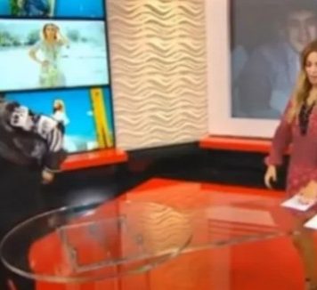 “SVE BIH VAS ZAPALILA, ZA KOSU BIH TE IZVUKLA!” Goca Tržan skočila na voditeljku, a kad čujete RAZLOG, sve će vam biti jasno: “Jesi li ti, bre, normalna?!”Kakav skandal u emisiji(VIDEO) “SVE BIH VAS ZAPALILA, ZA KOSU BIH TE IZVUKLA!” Goca Tržan skočila na voditeljku, a kad čujete RAZLOG, sve će vam biti jasno: “Jesi li ti, bre, normalna?!”Kakav skandal u emisiji(VIDEO) - featured image