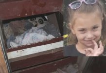 Nakon 3 godine pronađena djevojčica za kojom je tragao cijeli svijet: Godinama se smrzavala u mračnom podrumu rođenog deke, a prizor boli Nakon 3 godine pronađena djevojčica za kojom je tragao cijeli svijet: Godinama se smrzavala u mračnom podrumu rođenog deke, a prizor boli - featured image