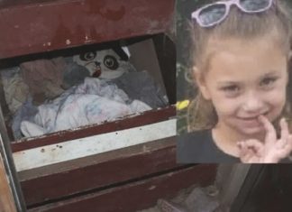 Nakon 3 godine pronađena djevojčica za kojom je tragao cijeli svijet: Godinama se smrzavala u mračnom podrumu rođenog deke, a prizor boli Nakon 3 godine pronađena djevojčica za kojom je tragao cijeli svijet: Godinama se smrzavala u mračnom podrumu rođenog deke, a prizor boli - featured image