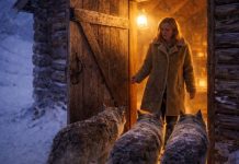 Tokom jake oluje, žena je pustila četiri vuka u svoj dom, misleći da ih spašava od hladnoće, ali ujutro ju je u vlastitoj kući čekala scena koja ju je uplašila 😲😱 Tokom jake oluje, žena je pustila četiri vuka u svoj dom, misleći da ih spašava od hladnoće, ali ujutro ju je u vlastitoj kući čekala scena koja ju je uplašila 😲😱 - featured image