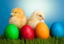 Pre Uskrsa obavezno unesite ovih 7 stvari u vaš doma: Veruje se da će vam doneti ogromnu sreću, dobro zdravlje, slogu i neverovatan uspeh