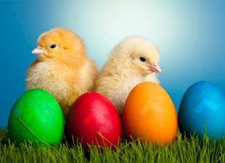 Pre Uskrsa obavezno unesite ovih 7 stvari u vaš doma: Veruje se da će vam doneti ogromnu sreću, dobro zdravlje, slogu i neverovatan uspeh