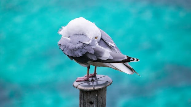U ovom siru Srbi se dave, a užasno oštećuje creva: Kad čujete šta sve sadrži, odmah ćete ga BACITI - featured image