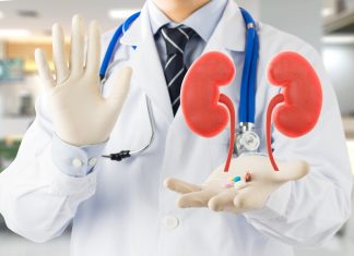 Urolog otkriva šta najviše šteti: Namirnice koje UZROKUJU KAMEN u bubregu Urolog otkriva šta najviše šteti: Namirnice koje UZROKUJU KAMEN u bubregu - featured image