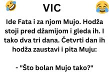 VIC DANA: Ide Fata i za njom Mujo VIC DANA: Ide Fata i za njom Mujo - featured image