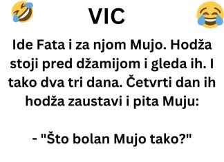 VIC DANA: Ide Fata i za njom Mujo VIC DANA: Ide Fata i za njom Mujo - featured image