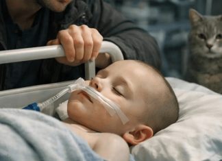 Roditelji su već govorili zbogom svom malom dečaku kada je njihov mačak iznenada skočio na bolnički krevet: ono što se dogodilo nakon toga ne mogu ni doktori da objasne. Roditelji su već govorili zbogom svom malom dečaku kada je njihov mačak iznenada skočio na bolnički krevet: ono što se dogodilo nakon toga ne mogu ni doktori da objasne. - featured image