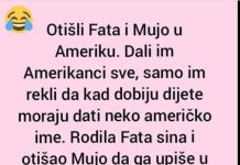 VIC DANA: Fata i Mujo u Americi VIC DANA: Fata i Mujo u Americi - featured image