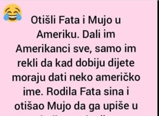 VIC DANA: Fata i Mujo u Americi VIC DANA: Fata i Mujo u Americi - featured image