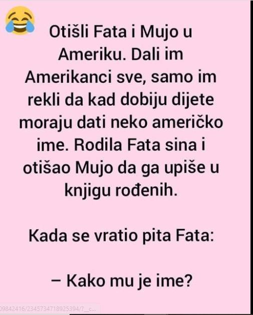 VIC DANA: Fata i Mujo u Americi - featured image