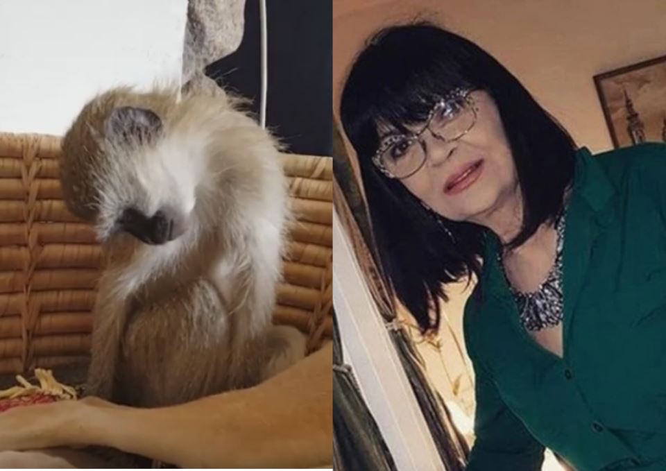 Nada Obrić živela sa majmunom, hranila ga, sa sobom vodila: Nije ni slutila šta će je te večeri snaći u podrumu – igrala se sa đav0lom, koštao je života - featured image