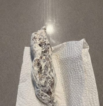 Pronašla sam nešto čudno u pakovanju brašna: odlučila sam otvoriti celofan da vidim šta je unutra… i kada sam shvatila šta je, bila sam potpuno šokirana. Pronašla sam nešto čudno u pakovanju brašna: odlučila sam otvoriti celofan da vidim šta je unutra… i kada sam shvatila šta je, bila sam potpuno šokirana. - featured image
