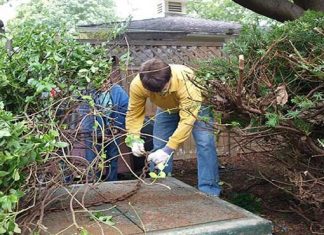 Nakon 10 godina, u svom dvorištu su napokon otvorili ova jeziva metalna vrata… Nakon 10 godina, u svom dvorištu su napokon otvorili ova jeziva metalna vrata… - featured image