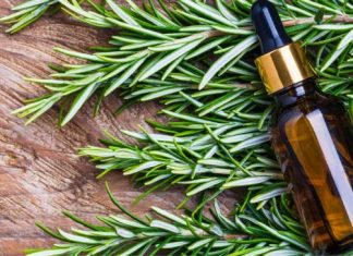 Kosa raste kao luda i PRESTAJE da opada: ŽIVA VODA za kosu, efekat će vas oduševiti! Kosa raste kao luda i PRESTAJE da opada: ŽIVA VODA za kosu, efekat će vas oduševiti! - featured image