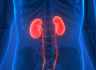 KAD SA BUBREZIMA NIJE SVE U REDU, TIJELO ŠALJE OVE SIGNALE: 6 SIMPTOMA KOJE NE SMIJETE IGNORISATI!