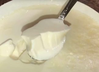 OVAJ BELI “OTROV” SVI JEDEMO I 3 PUTA JE GORI OD SLATKIŠA: Mislimo da je ZDRAV, a ovo je JEDINA SUROVA ISTINA! OVAJ BELI “OTROV” SVI JEDEMO I 3 PUTA JE GORI OD SLATKIŠA: Mislimo da je ZDRAV, a ovo je JEDINA SUROVA ISTINA! - featured image