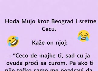 VIC: Mujo sretne Cecu