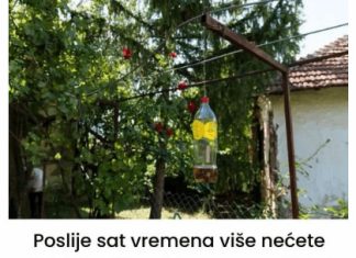 Poslije sat vremena više nećete vidjeti muhu, ni komarca u blizini: SMUĆKAJTE IM POSLJEDNJU VEČERU Poslije sat vremena više nećete vidjeti muhu, ni komarca u blizini: SMUĆKAJTE IM POSLJEDNJU VEČERU - featured image