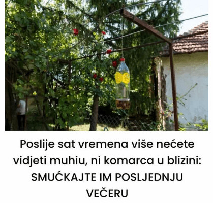 Poslije sat vremena više nećete vidjeti muhu, ni komarca u blizini: SMUĆKAJTE IM POSLJEDNJU VEČERU - featured image
