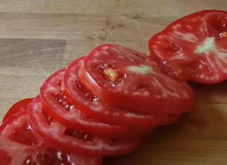 KO NE SME NIPOŠTO DA JEDA PARADAJZ? Ako se lečite od ovih bolesti, BACITE GA ODMAH, nije vredan vašeg ZDRAVLJA KO NE SME NIPOŠTO DA JEDA PARADAJZ? Ako se lečite od ovih bolesti, BACITE GA ODMAH, nije vredan vašeg ZDRAVLJA - featured image